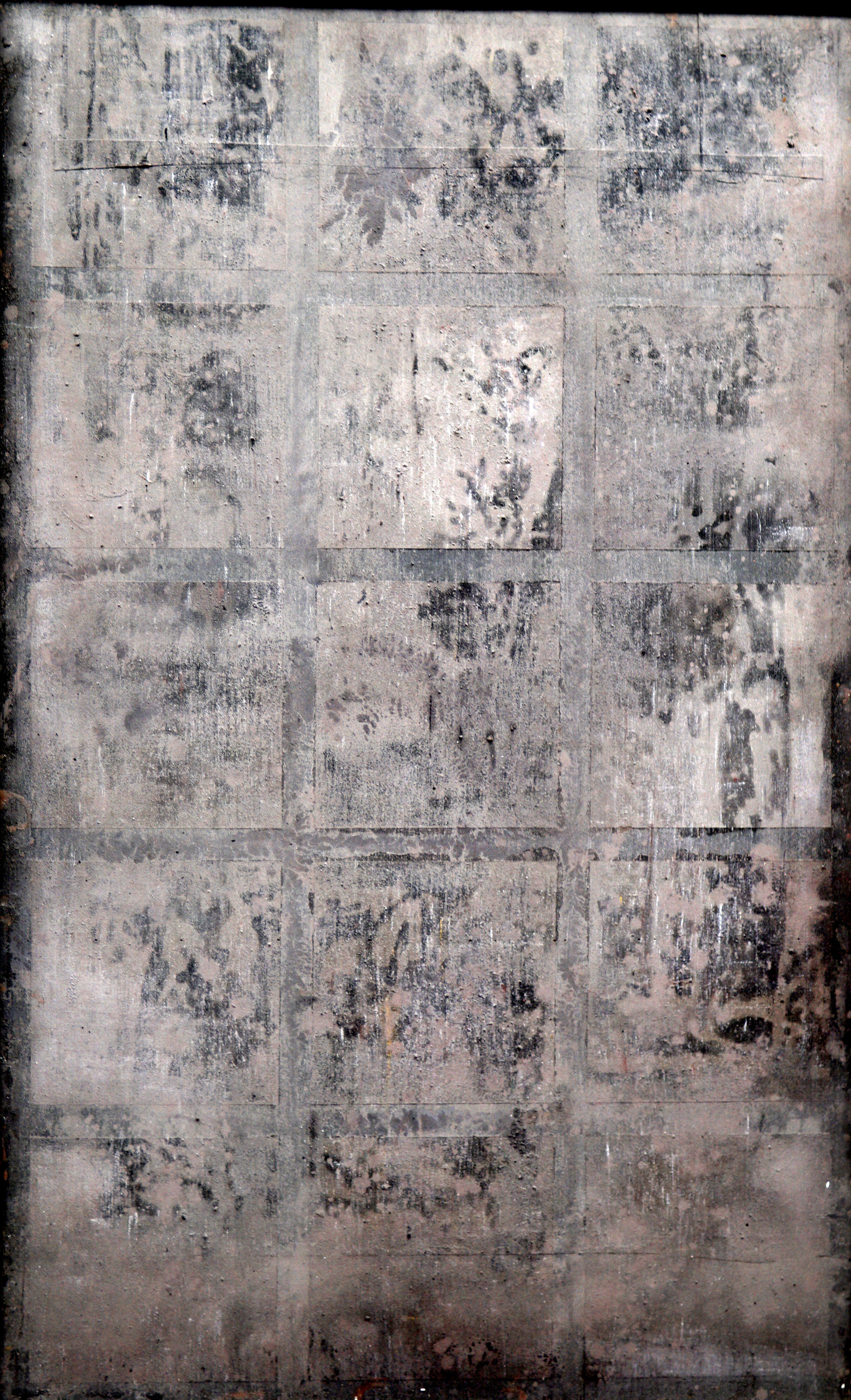 《树林》
